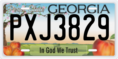 GA license plate PXJ3829