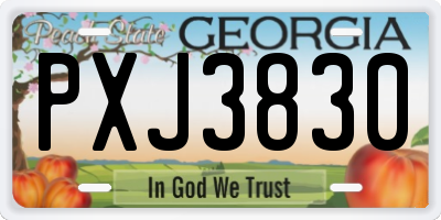 GA license plate PXJ3830
