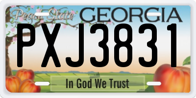 GA license plate PXJ3831