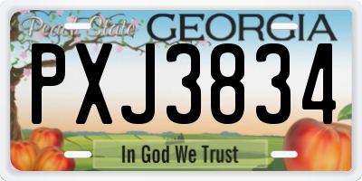 GA license plate PXJ3834