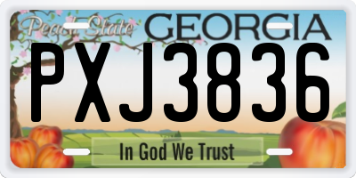GA license plate PXJ3836