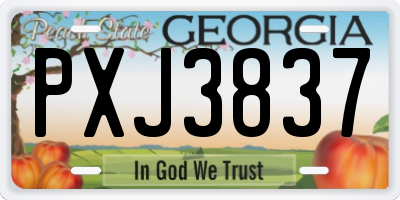 GA license plate PXJ3837