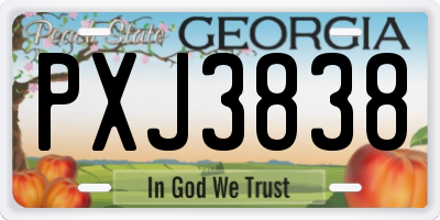 GA license plate PXJ3838