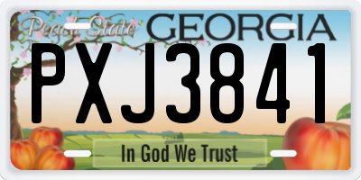 GA license plate PXJ3841
