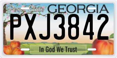 GA license plate PXJ3842
