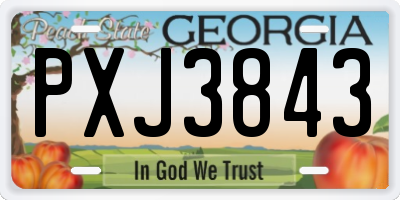 GA license plate PXJ3843