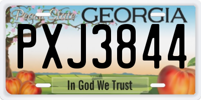 GA license plate PXJ3844