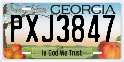 GA license plate PXJ3847