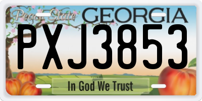 GA license plate PXJ3853