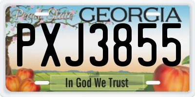 GA license plate PXJ3855
