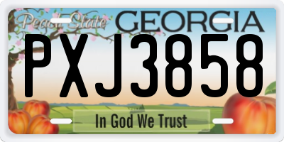 GA license plate PXJ3858