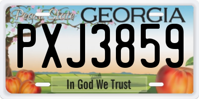 GA license plate PXJ3859