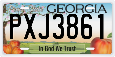 GA license plate PXJ3861