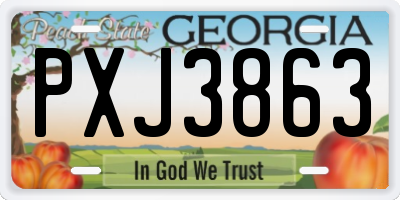 GA license plate PXJ3863