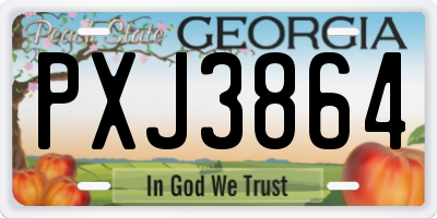 GA license plate PXJ3864