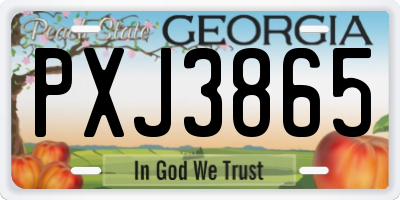 GA license plate PXJ3865