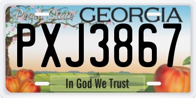 GA license plate PXJ3867
