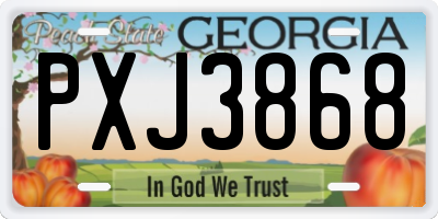 GA license plate PXJ3868