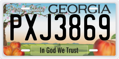 GA license plate PXJ3869