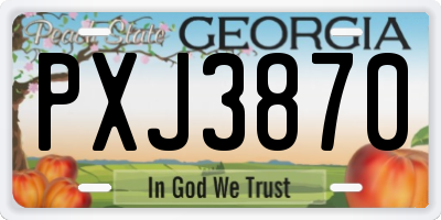 GA license plate PXJ3870