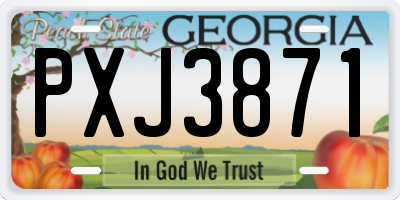 GA license plate PXJ3871