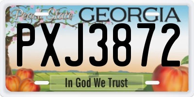 GA license plate PXJ3872