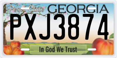 GA license plate PXJ3874