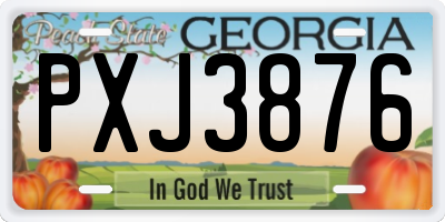 GA license plate PXJ3876