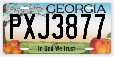 GA license plate PXJ3877