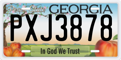 GA license plate PXJ3878