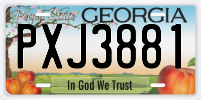 GA license plate PXJ3881