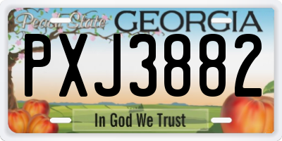 GA license plate PXJ3882