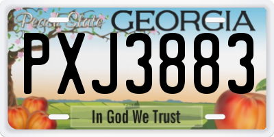 GA license plate PXJ3883