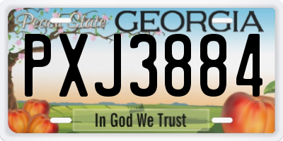GA license plate PXJ3884