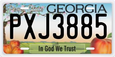 GA license plate PXJ3885