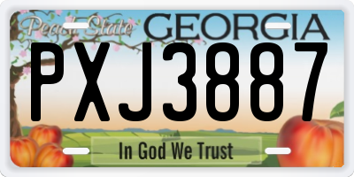 GA license plate PXJ3887
