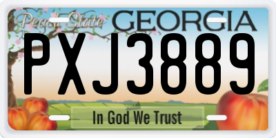 GA license plate PXJ3889