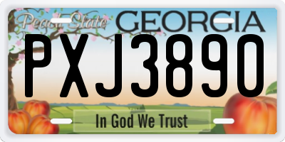 GA license plate PXJ3890