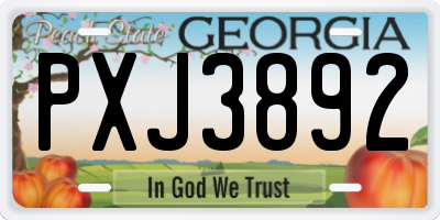 GA license plate PXJ3892