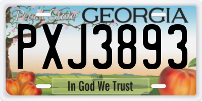 GA license plate PXJ3893