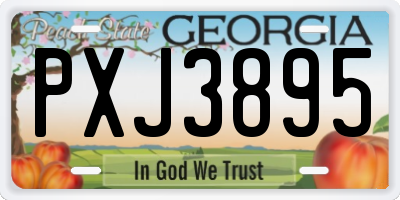 GA license plate PXJ3895