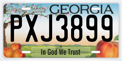 GA license plate PXJ3899