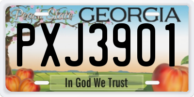 GA license plate PXJ3901