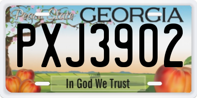 GA license plate PXJ3902