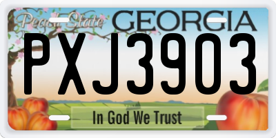 GA license plate PXJ3903