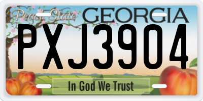 GA license plate PXJ3904
