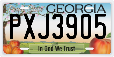 GA license plate PXJ3905