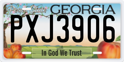 GA license plate PXJ3906