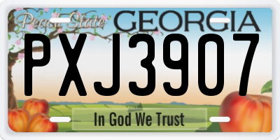 GA license plate PXJ3907