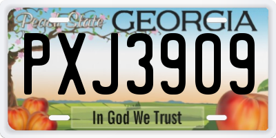 GA license plate PXJ3909